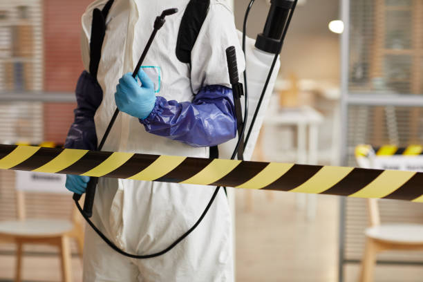 Professional Hoarding Cleanup technician working in Elwood, NJ